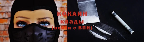 твердый Аркадак