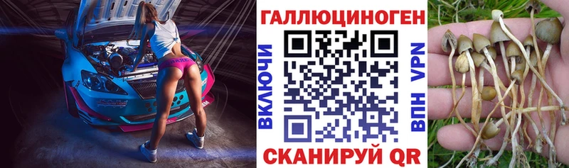 Галлюциногенные грибы мухоморы Купить где Мурино